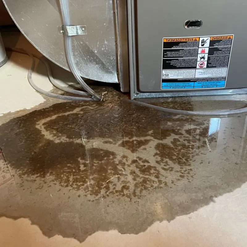 Pipe Burst and Leak Restoration in Anderson County, KY
