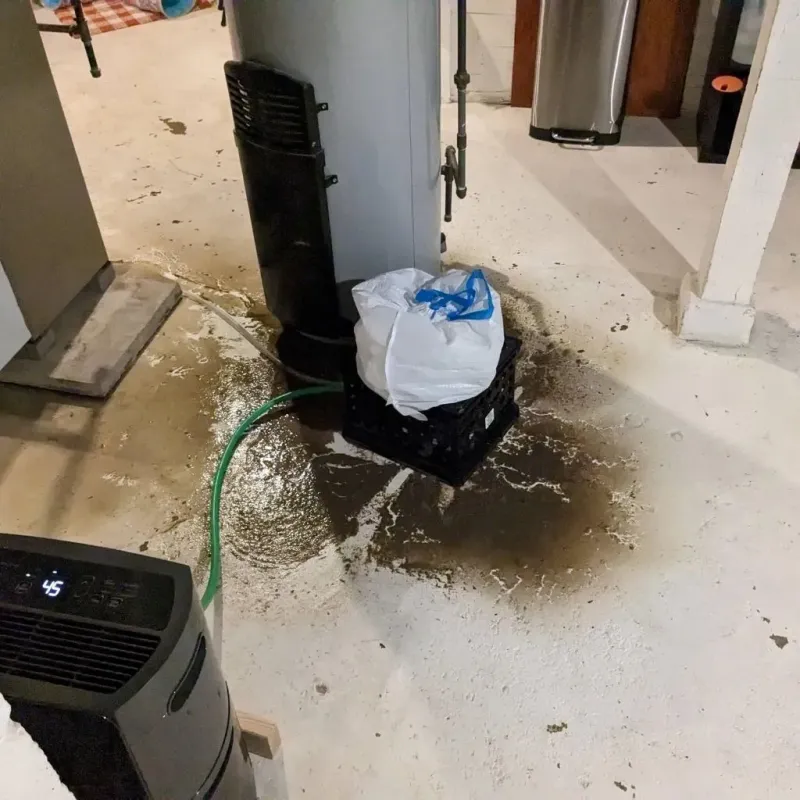 Sewage Backup Cleanup Service in Anderson County, KY